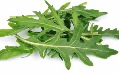 Arugula