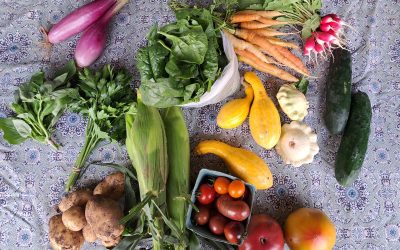 Summer CSA – Toronto East end location